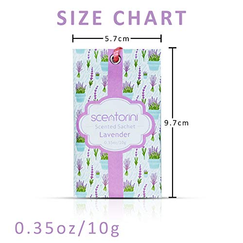 SCENTORINI Set de 14 Bolsita Perfumados de Lavanda sobre Aromántoco Deshumidificador y Ambientador para Cajones y Armarios, Ropa de Bebé, Zapatero, Maleta Regalos para Cumpleaños San Valentin