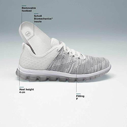 Scholl Deportivas Darwin Grigio 38