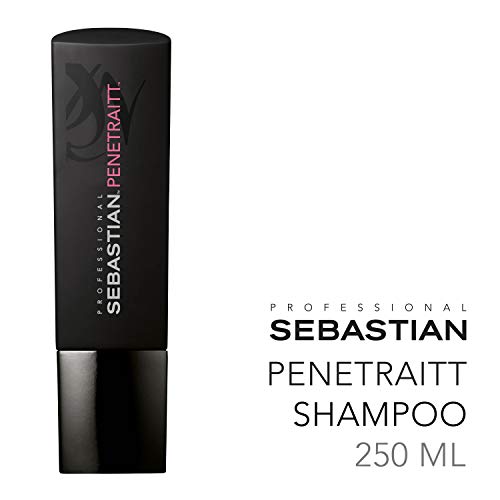 Sebastian Found Penetraitt Champú - 250 ml