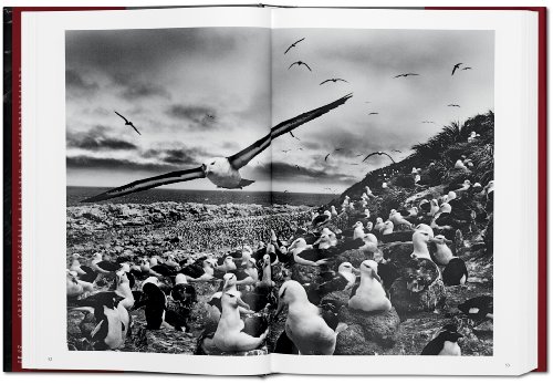 Sebastião Salgado. Génesis: Genesis (PHOTO)