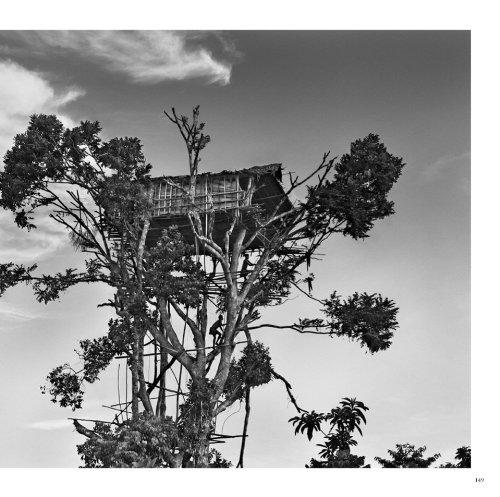 Sebastiao Salgado. Genesis: Trade Edition
