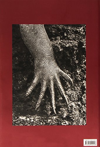 Sebastiao Salgado. Genesis: Trade Edition