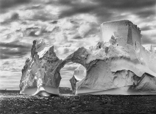 Sebastiao Salgado. Genesis: Trade Edition