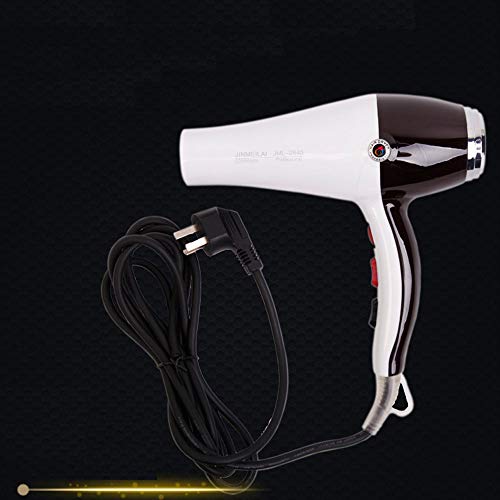 Secador de cabello HUIHUAN Secador de cabello Dedicado Secador de cabello de alta potencia con viento caliente y frío No daña Termostato de cabello Secador de cabello Hogar Peluquería