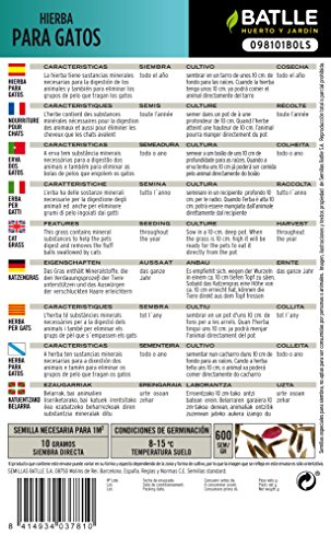 Semillas Aromáticas - Hierba para gatos - Batlle