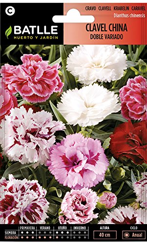 Semillas de Flores - Clavel China Doble Flor grande variado - Batlle
