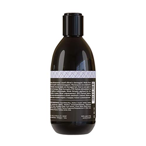 Sendo Champú Reestructurante para el cabello con Extracto Biotecnológico de Tomate, Extracto Biológico de Arroz y Extracto Biológico de Dátil - Tratamiento para el Cabello Dañado - 250 ML -