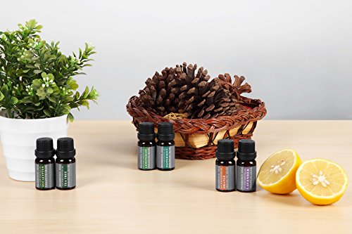 Set de aceites esenciales puros para aromaterapia de Wasserstein (Parte superior 6)