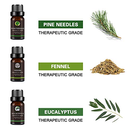 Set de Aceites Esenciales,100% Natural Puro Aromaterapia Aceite Aromátic,Eucalipto, Menta, Naranja dulce, Agujas de pino, Limón, Hinojo,Para Humidificador y Difusor Aroma,relajarse,Aromaterapia, Spa