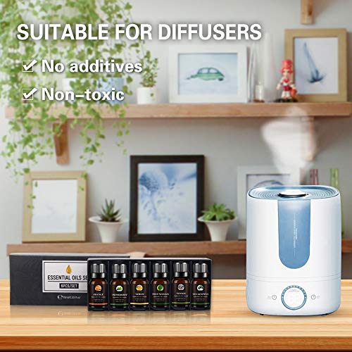 Set de Aceites Esenciales,100% Natural Puro Aromaterapia Aceite Aromátic,Eucalipto, Menta, Naranja dulce, Agujas de pino, Limón, Hinojo,Para Humidificador y Difusor Aroma,relajarse,Aromaterapia, Spa