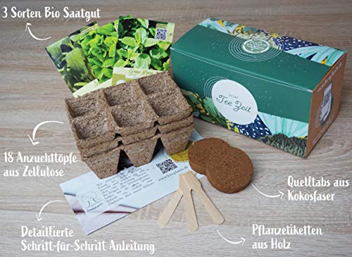 Set de cultivo de hierbas de té orgánico con 3 variedades de semillas de hierba, como menta verde, salvia y limón, set de regalo para cualquier ocasión, regalo ideal para hombres y mujeres.