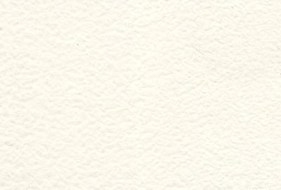 Shabbychiccolors – Chalk Paint (peinture à craie) shabby à très haute couvrance – Blanc pastel 02 – 2,5 l