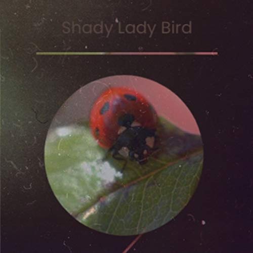 Shady Lady Bird