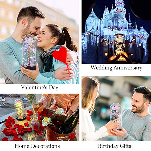 shirylzee Kit de Rosas La Bella y la Bestia, Lámina de Oro Colorida Rosa Flores con Luces de Cadena y Cuentas,Base de Madera cúpula de Vidrio,Regalo para Boda,Aniversario,Madre,Navidad, San Valentin