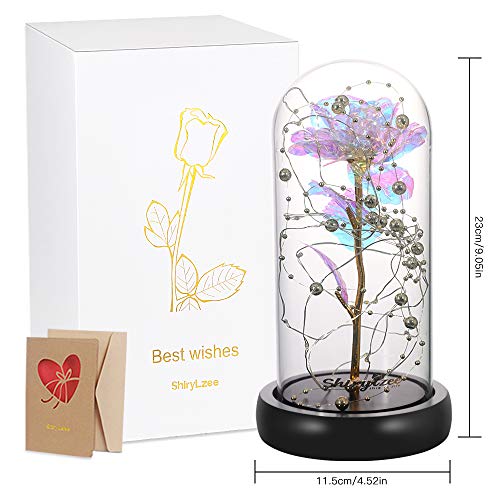 shirylzee Kit de Rosas La Bella y la Bestia, Lámina de Oro Colorida Rosa Flores con Luces de Cadena y Cuentas,Base de Madera cúpula de Vidrio,Regalo para Boda,Aniversario,Madre,Navidad, San Valentin