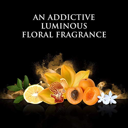 Singers Beyoncé Rise Agua de Perfume - 100 ml