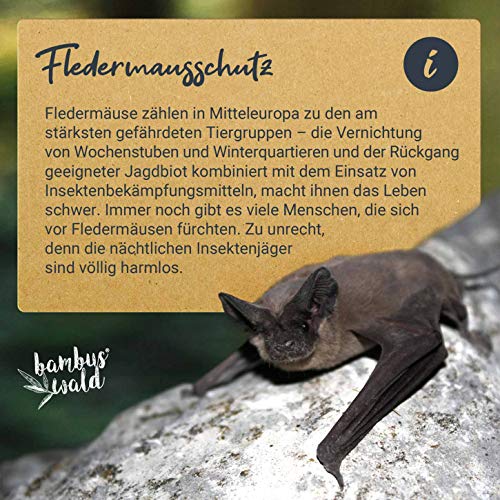 Skojig Hotel para murciélagos Hecho de Madera | Albergue Refugio Caja Nido Cueva 42 x 29 x 10 cm | Casa para murciélagos - Protección de Especies en tu jardín