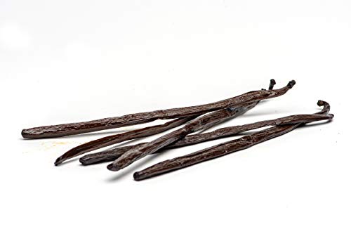 Slofoodgroup Frijoles de vainilla de Madagascar bourbon 5 cada