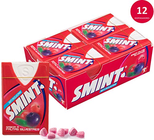 Smint Tabs Frutas Silvestres, Caramelo Comprimido sin Azúcar - 12 unidades de 8 gr. (Total 96 gr.)