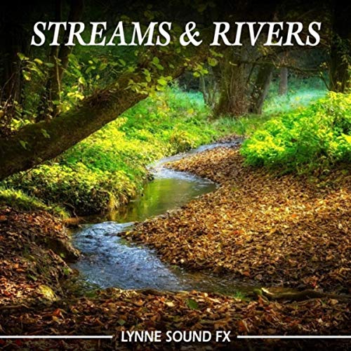 Smooth Forest Creek Nice Stereo Definition