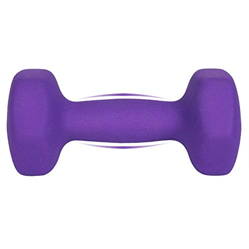SONGMICS Juego de 2 Mancuernas para Gimnasio y Entrenamiento 2 x 2 kg SYL64PL