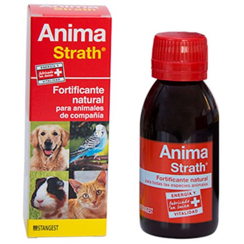 Stangest Anima Strath Complemento Nutricional - 100 ml
