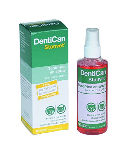 Stangest Dentican Spray Dental - 125 ml