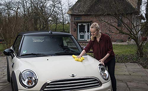 STP Q6100 Toalla Secadora, Extra Grande, 1 Unidad