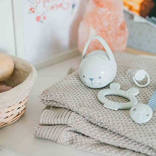 Suavinex Set Premium Recién Nacido con Chupete fisiológico silicona 0-6 meses, Broche, Portachupetes y Mordedor, verde