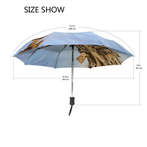 SUHETI Paraguas automático de Apertura/Cierre,Detalle Arquitectónico Chapitel Catedral Gótica Segovia,Paraguas pequeño Plegable a Prueba de Viento, Impermeable