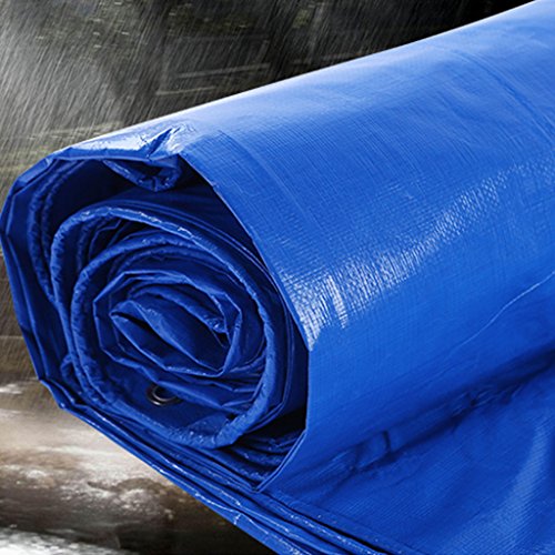 Tarpaulin Espesar Camión Lona de Lluvia Paño Impermeable Lona Impermeable Triciclo Sombra de plástico Paño de Aceite Lona del Coche (Color : 3M*4M)