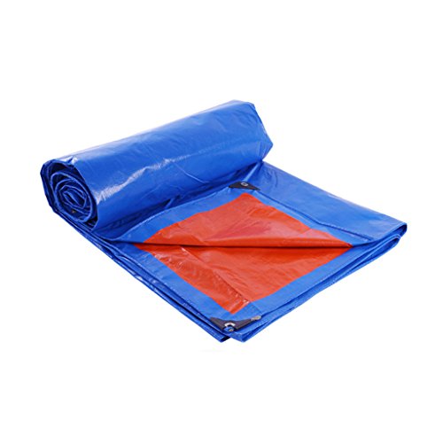 Tarpaulin Espesar Camión Lona de Lluvia Paño Impermeable Lona Impermeable Triciclo Sombra de plástico Paño de Aceite Lona del Coche (Color : 3M*4M)