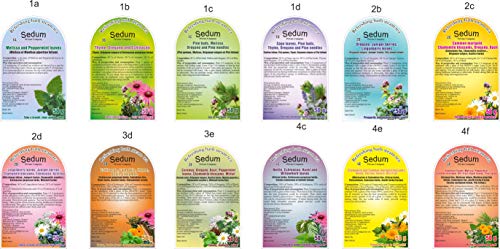 Té Herbal Sedum Mezcla - Espino, melisa, menta fresca, caléndula eneldo, hojas de almendro, hoja de pino - Té de hierbas sabroso y natural - Té refrescante y relajante - Recogido a mano en la UE - 50g