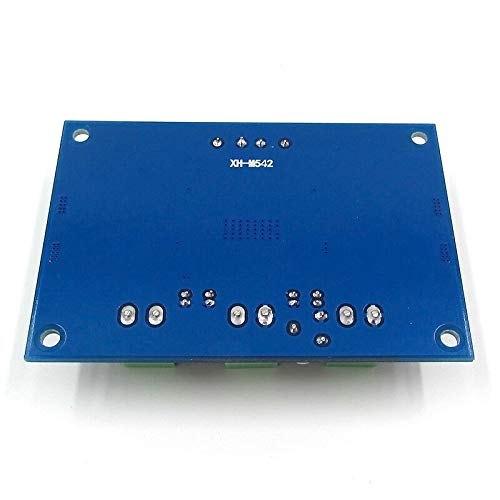 TECNOIOT DC 12V 24V 100W TPA3116DA Mono Channel Digital Power Audio Amplifier TPA3116D2