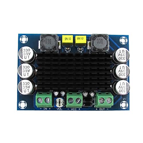 TECNOIOT DC 12V 24V 100W TPA3116DA Mono Channel Digital Power Audio Amplifier TPA3116D2