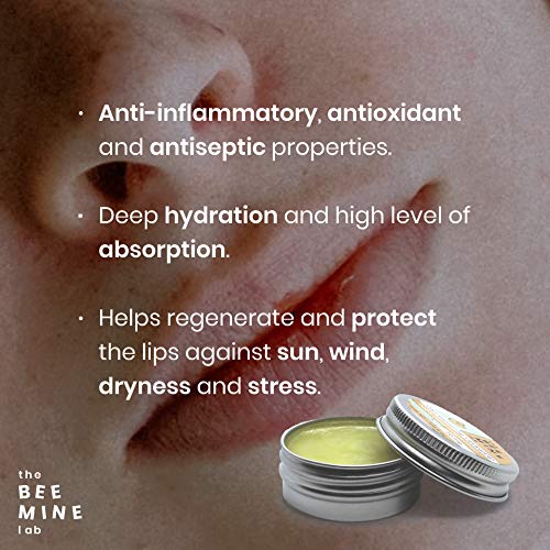 The Beemine Lab Bálsamo Labial, Hidrata Repara y Protege, con Aceite de Cáñamo y Cera de Abejas, 99.85% Ingredientes Naturales, 15 ml