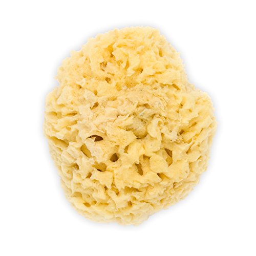 The Dida World Bath Bubbles - Esponja natural, cepillo de madera, toallita de algodón orgánico