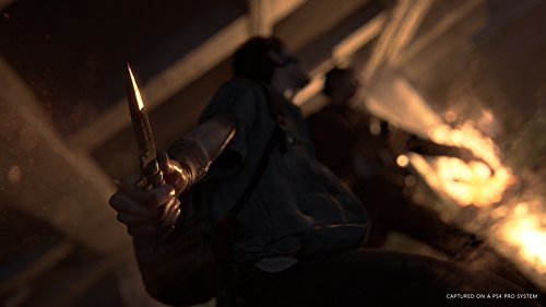 The Last of Us Parte II