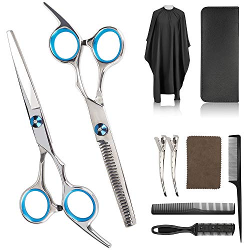Tijeras Peluqueria Profesional, 10 piezas tijeras de adelgazamiento kit, tijeras de corte de cabello afiladas de primera calidad, Juego de tijeras para el cabello para peluquería salón home