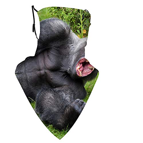 Timdle El Gorila de Espalda Plateada Macho Muestra Sus Dientes en la Polaina de Cuello Multifuncional Hi, Bufanda para la Cabeza para Hombres y Mujeres Unisex