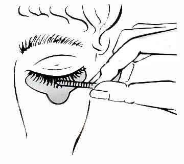 Tinte de pestañas y cejas (negro)