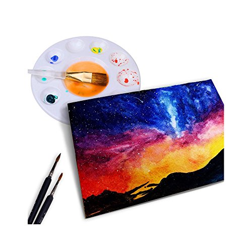 TJW Paleta Redonda de plástico de 5 Piezas, 11 Wells, Grande, Redonda, para Acuarela, Gouache tintas, Arte Manualidades, plástico, Blanco, Paquete de 5