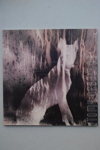 Tomy Ceballos : [catálogo de exposiciones] : Iglesia de San Esteban, Murcia / [textos de Javier Vallhonrat, Soren Peñalver, Juana Rubio]