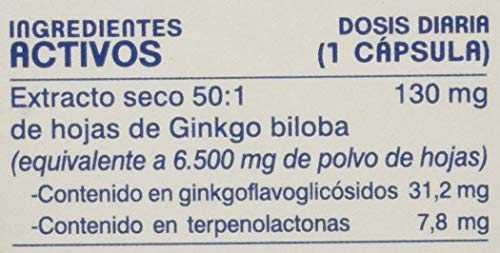 Tongil - Complemento alimenticio a base de extracto de hojas de Gingko biloba, 6500 mg 40 Caps.
