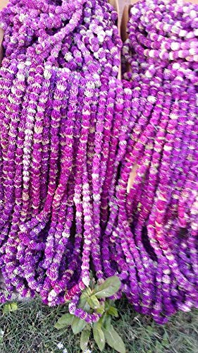 TooGet - Pétalos y Capullos De Flores, Incluye Lavanda, Nomeolvides, Caléndula, Jazmín, Flores de Poto, Acacia, Rosa, Amaranto Globoso y Siempreviva, Perfectos Para Todo Tipo de Manualidades