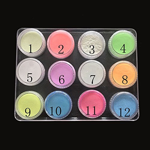 TOOGOO 12 cajas/juego Polvo de fosforo de neon Polvo de brillo de unas Pigmento luminoso del polvo de 12 colores Polvo fluorescente brillo de unas Brillan en la oscuridad