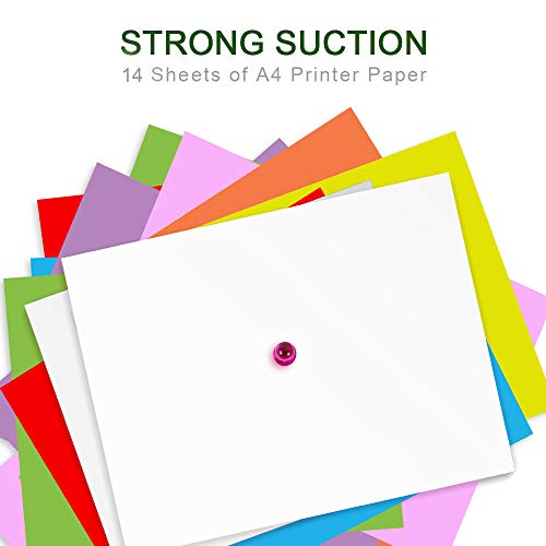 TRAYBRAY Pin Imanes 50pieza Color Fuerte magnético chinchetas imanes neodimio Push Pin Imanes imanes pequeños imanes Pizarra magnetica Caja de Almacenamiento