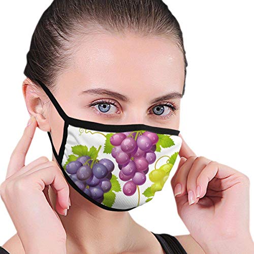 Tres racimos de Uvas Decoración Facial para protección contra el Polvo Algodón Lavable Reutilizable para Hombres y Mujeres Universal