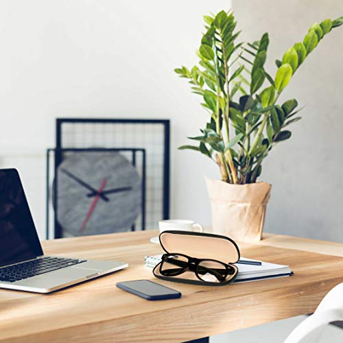 TRIXES Estuche Negro Símil Cuero para Gafas de Marcos Pequeños y Medianos