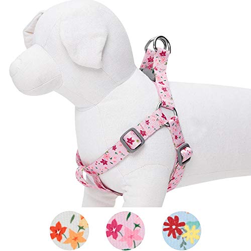 UMI. Essential Made Well - Arnés para Perros con Estampado de Flores S, Contorno del Pecho 42-54 cm, arneses Ajustables para Perros (Rosa)